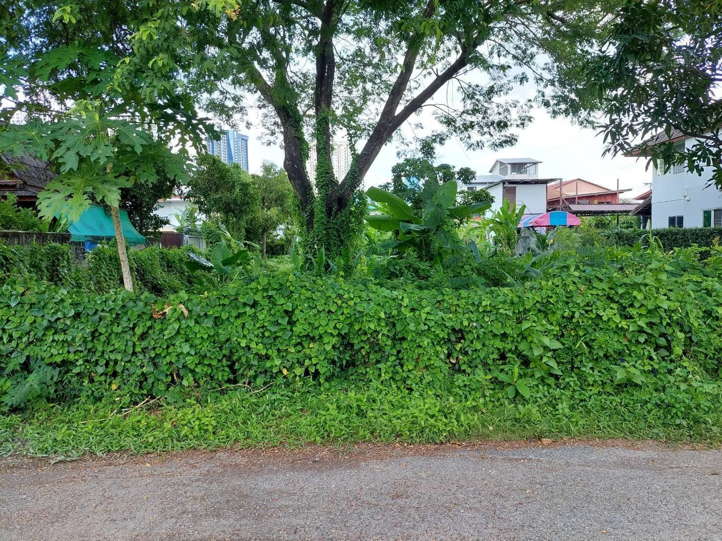 ขายด่วนที่ดิน 296.3 ตร.วา