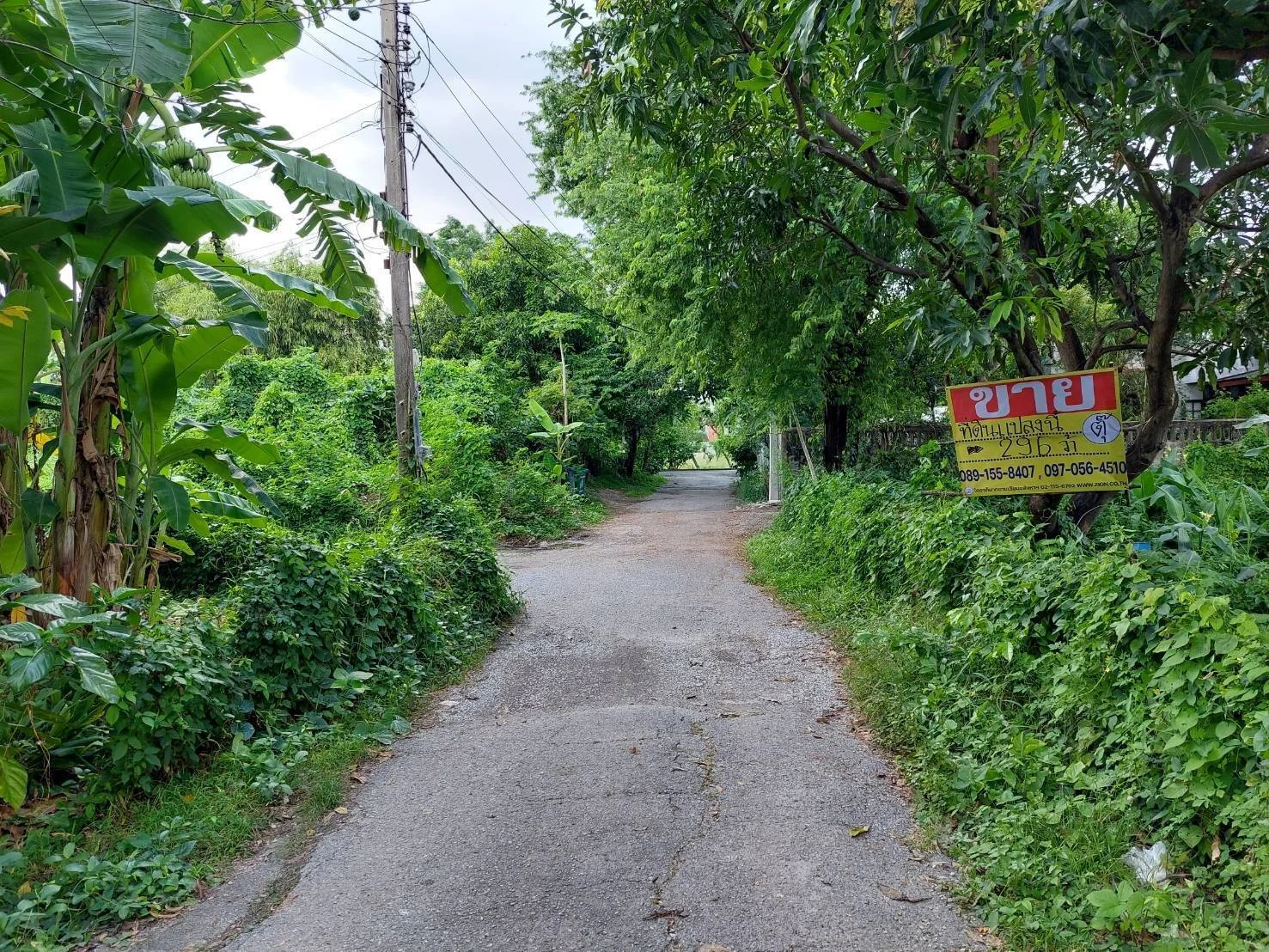 ขายด่วนที่ดิน 296.3 ตร.วา