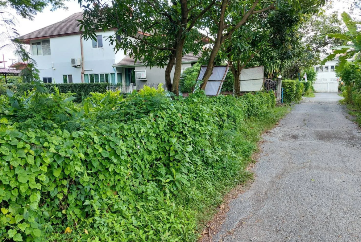 ขายด่วนที่ดิน 296.3 ตร.วา