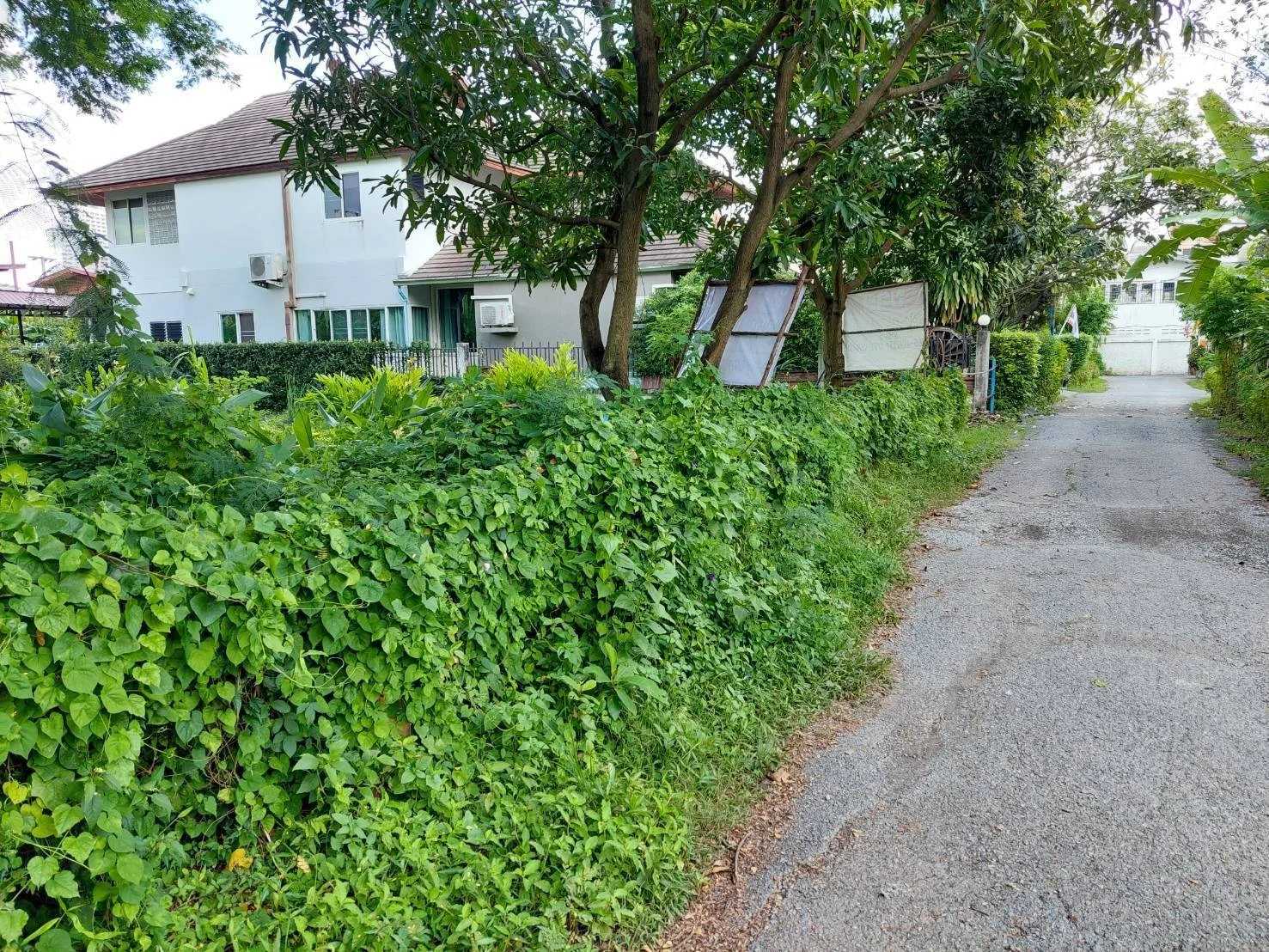 ขายด่วนที่ดิน 296.3 ตร.วา