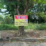 ขายที่ดิน หมู่บ้านกฤษดานคร18 อัญมณี35