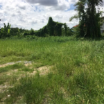 ขายที่ดิน เฉลิมพระเกียรติ ร.9 ซ.61