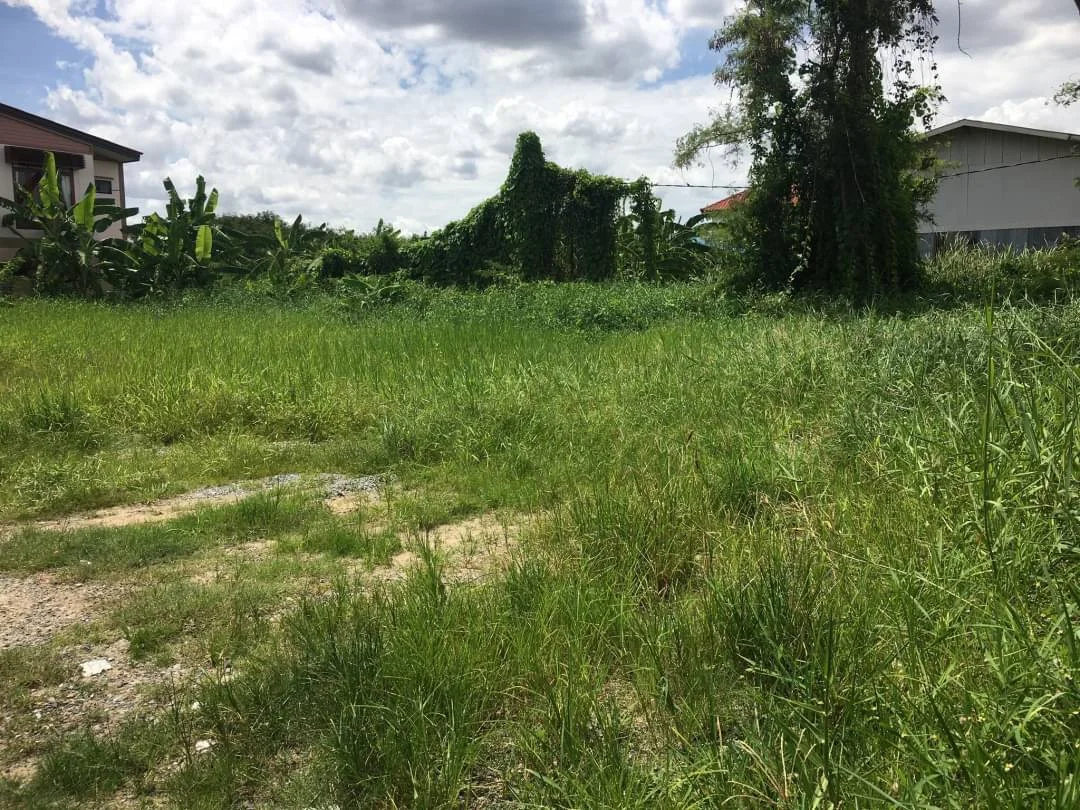 ขายที่ดิน เฉลิมพระเกียรติ ร.9 ซ.61