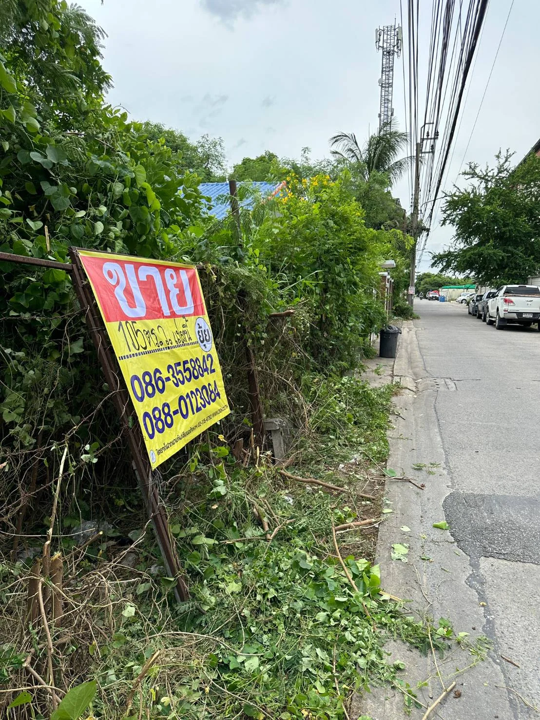 ขายที่ดิน ซอยลาดพร้าว87 แยก 32