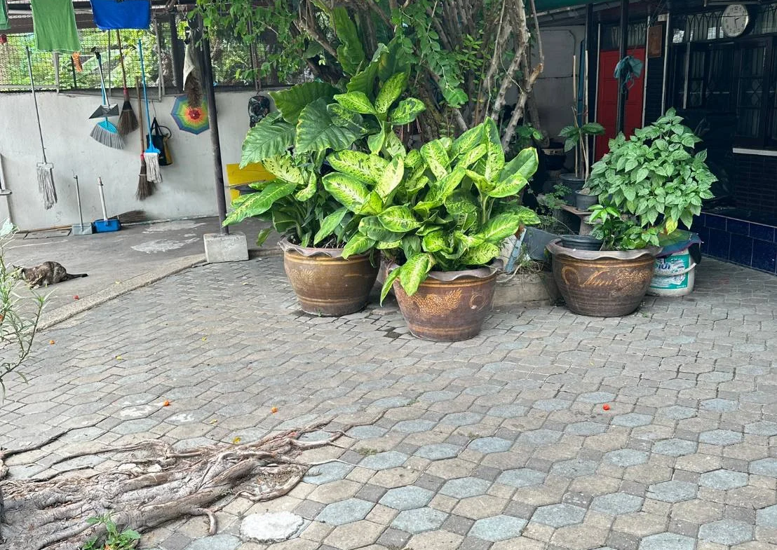 บ้านเดี่ยว 2 ชั้น หมู่บ้านเสรี พระราม 9 ซ.58