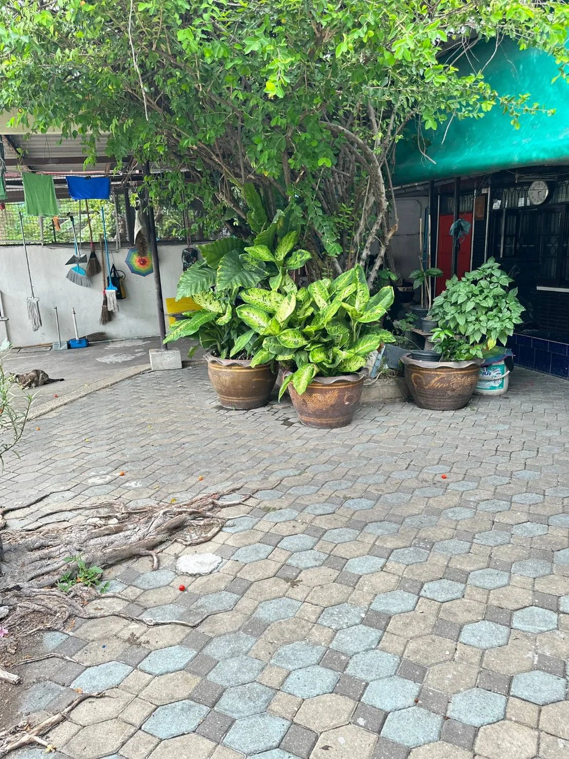 บ้านเดี่ยว 2 ชั้น หมู่บ้านเสรี พระราม 9 ซ.58