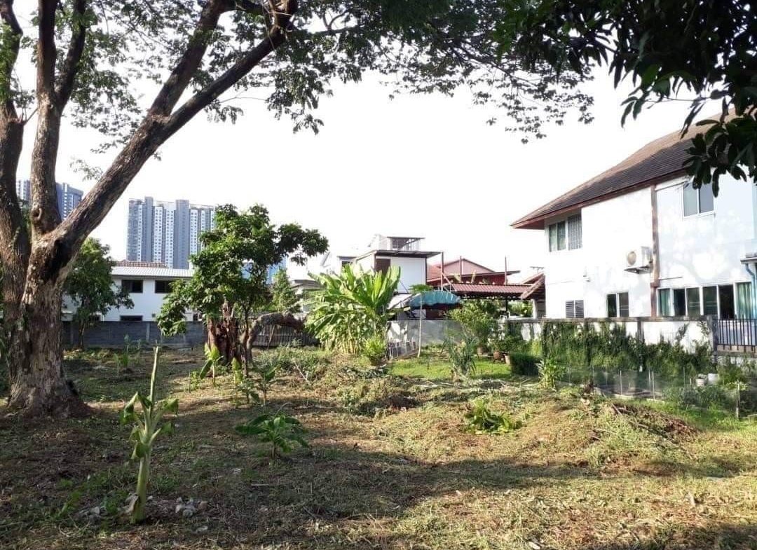 ที่ดิน 296.3 ตร.ว. ถ.ประชาราษฎร์สาย1