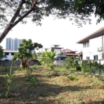 ที่ดิน 296.3 ตร.ว. ถ.ประชาราษฎร์สาย1