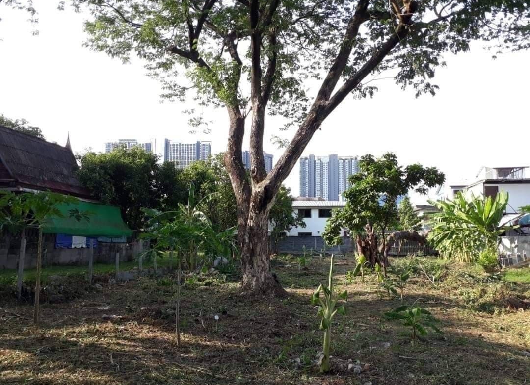 ที่ดิน 296.3 ตร.ว. ถ.ประชาราษฎร์สาย1