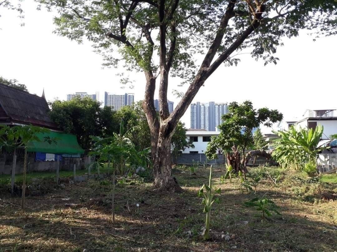 ที่ดิน 296.3 ตร.ว. ถ.ประชาราษฎร์สาย1